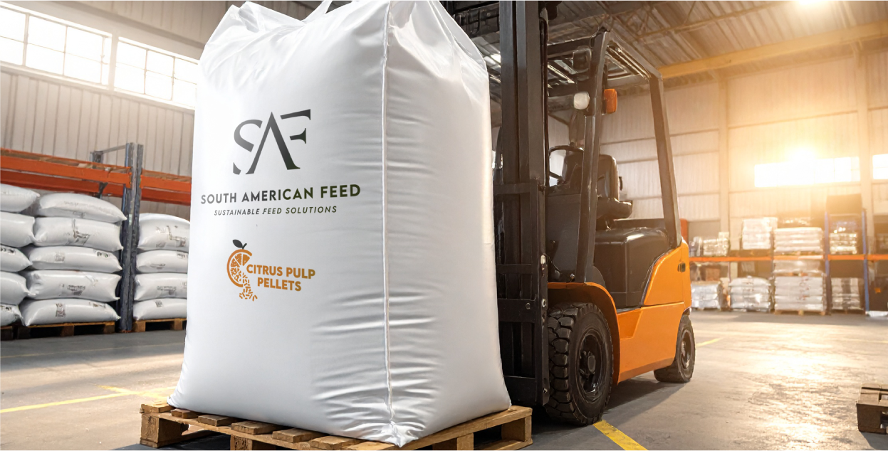 Citrus Pulp Pellets