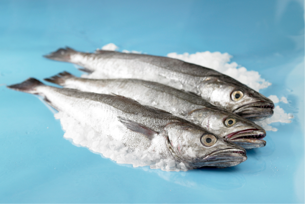 Wild Hake Meal
