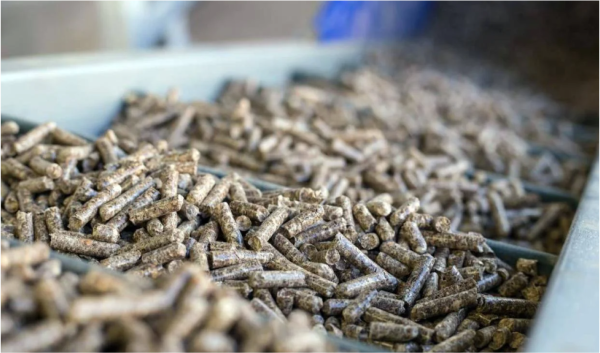 Sweet Potato Pellets