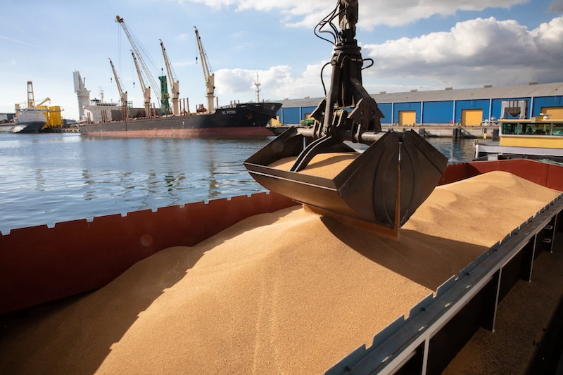 Connecting the hinterland to the global market